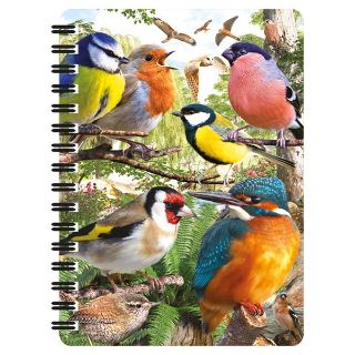 Obrázek z Notes 3D 11x14cm - ptáčci (10) 